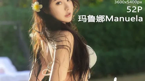 高分影视剧收看大全